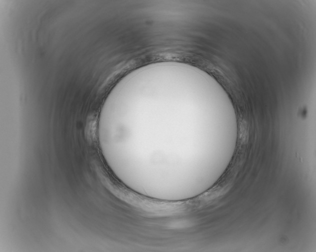 X0000089660036200706210740