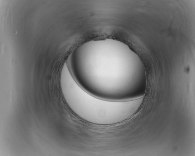 X0000089660037200706210740