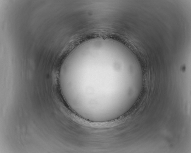 X0000089660038200706210740