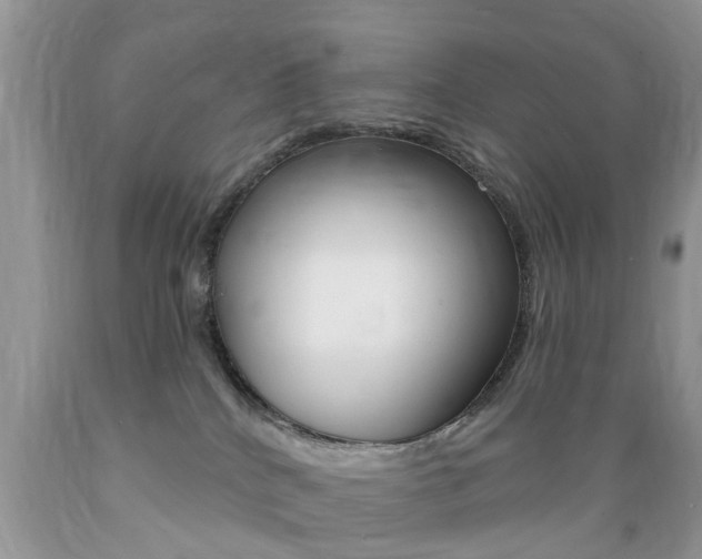 X0000089660040200706210740