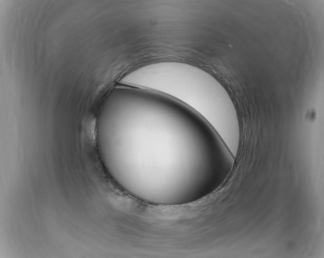 X0000089660041200706210740