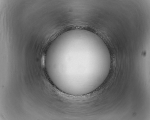 X0000089660042200706210740