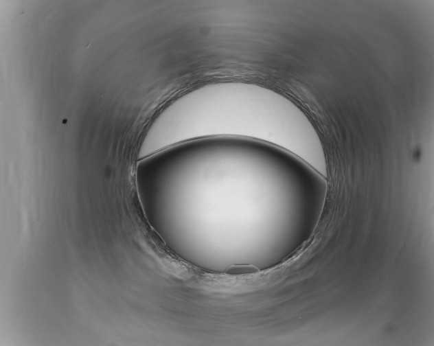 X0000089660045200706210740