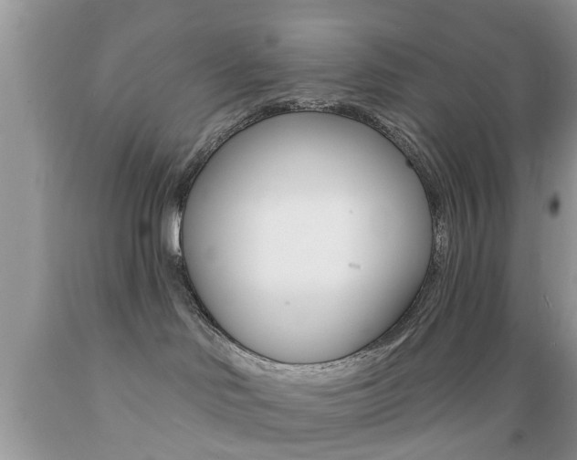 X0000089660046200706210740