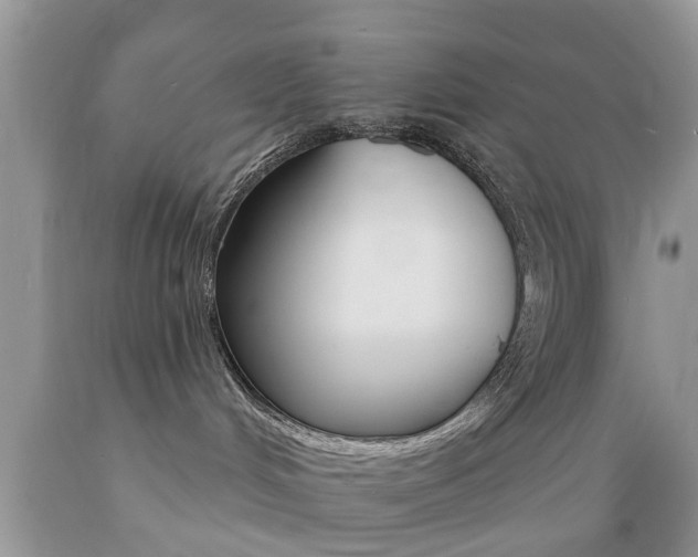X0000089660048200706210740