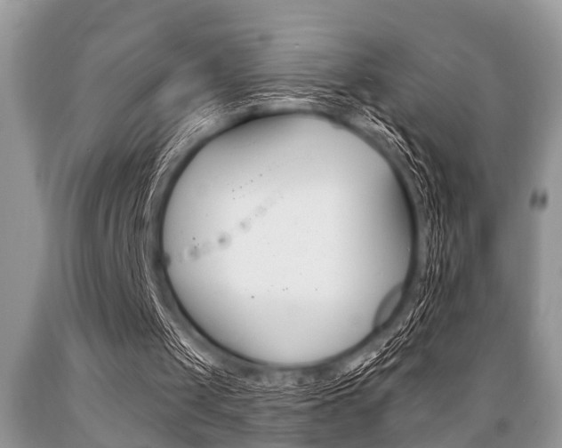 X0000089660049200706210739