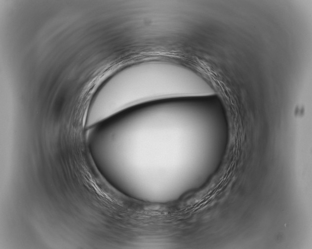 X0000089660050200706210739