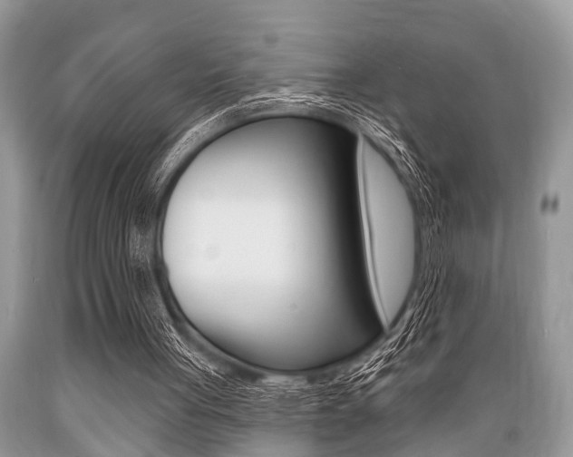 X0000089660051200706210739