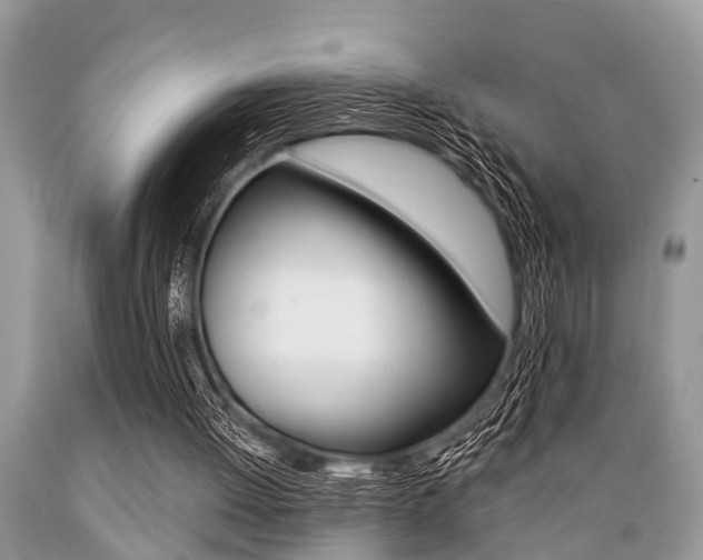 X0000089660052200706210739