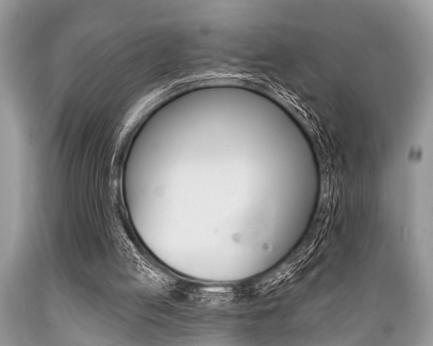 X0000089660053200706210739