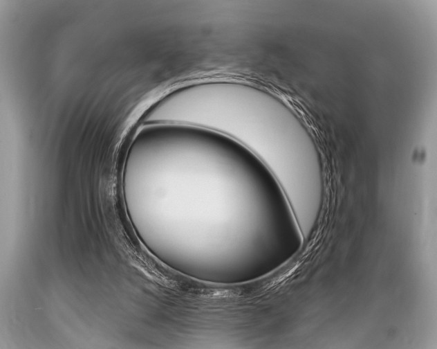 X0000089660056200706210739