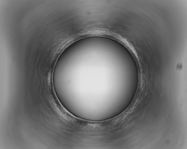 X0000089660057200706210739