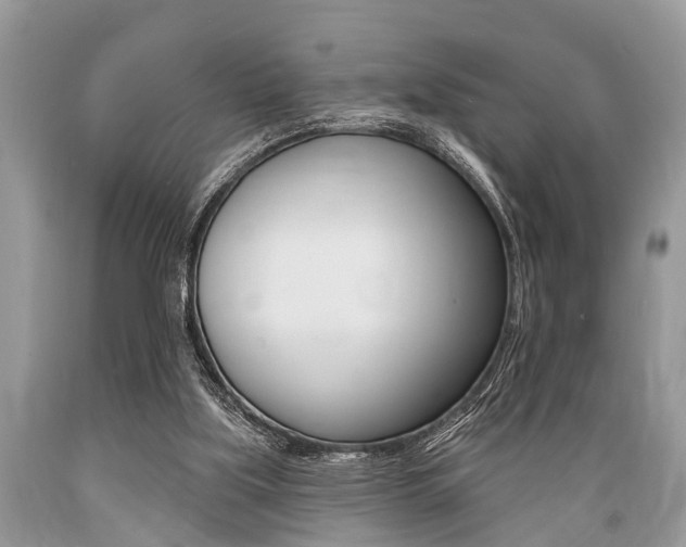 X0000089660059200706210739