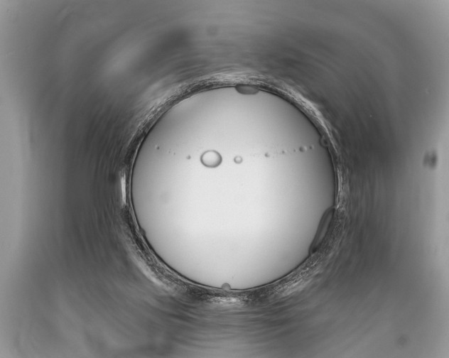 X0000089660061200706210739