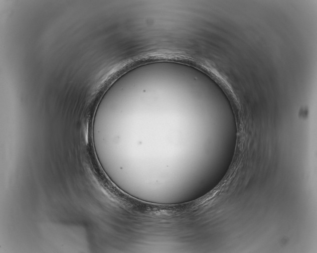 X0000089660062200706210739