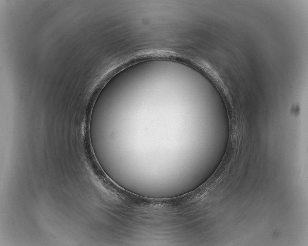 X0000089660063200706210739
