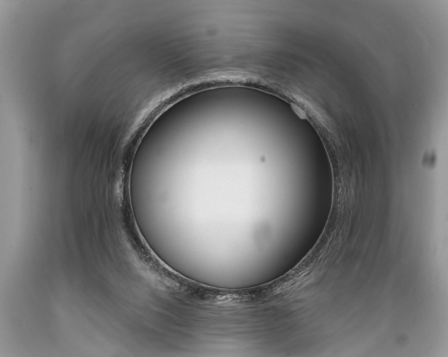 X0000089660064200706210739