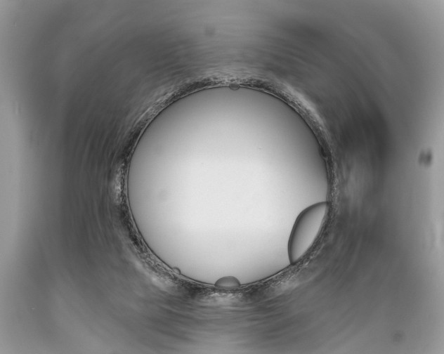 X0000089660065200706210739