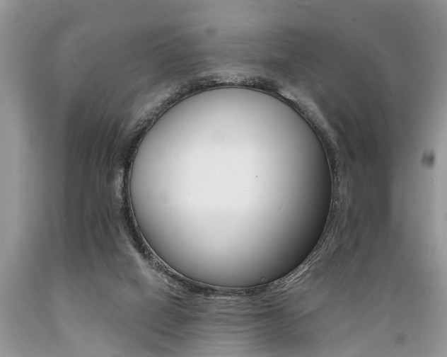 X0000089660066200706210739
