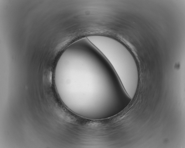 X0000089660067200706210739