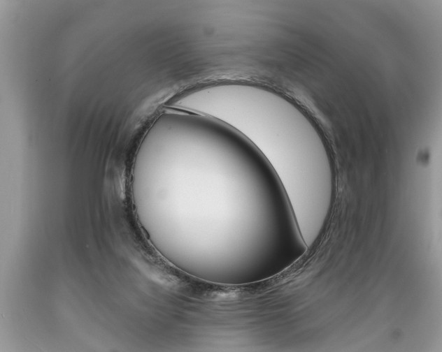 X0000089660068200706210739