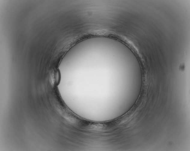 X0000089660069200706210740
