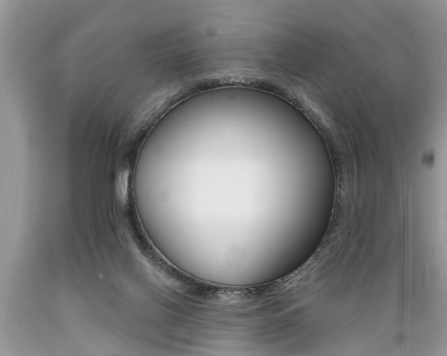 X0000089660070200706210740