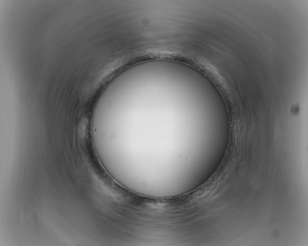 X0000089660071200706210740