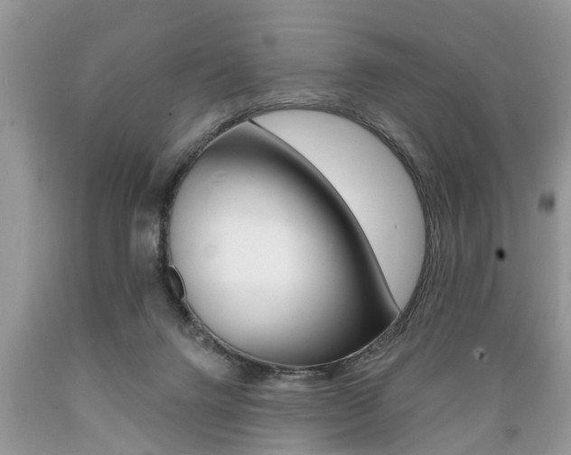 X0000089660072200706210740