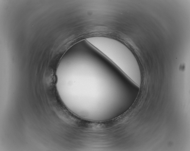 X0000089660073200706210740