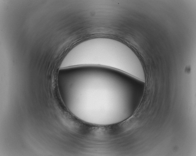 X0000089660074200706210740