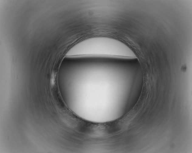 X0000089660075200706210740