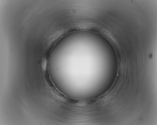 X0000089660076200706210740