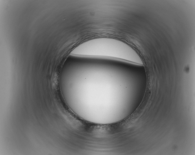 X0000089660077200706210740