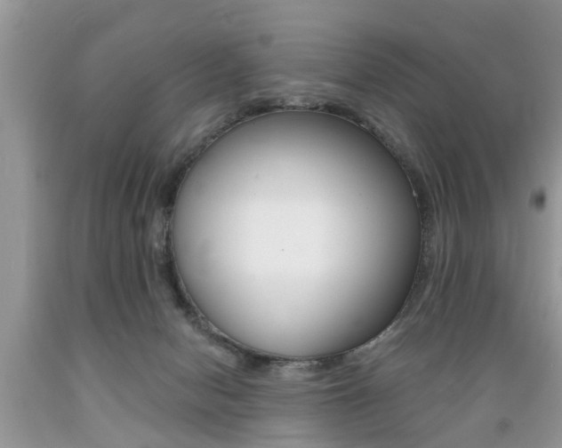 X0000089660078200706210740