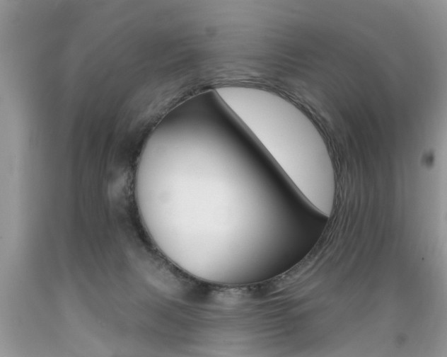 X0000089660079200706210740