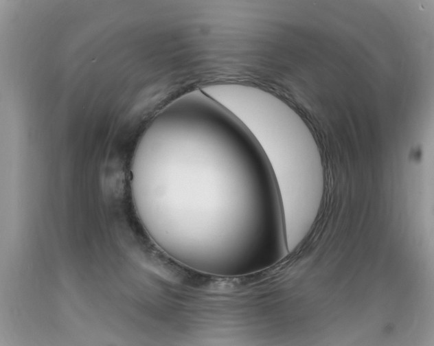 X0000089660080200706210740