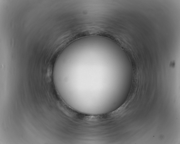 X0000089660082200706210740
