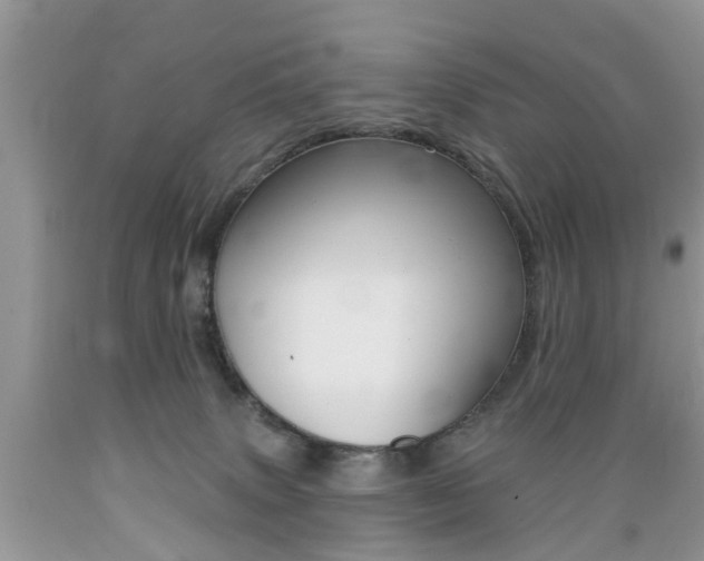 X0000089660083200706210740