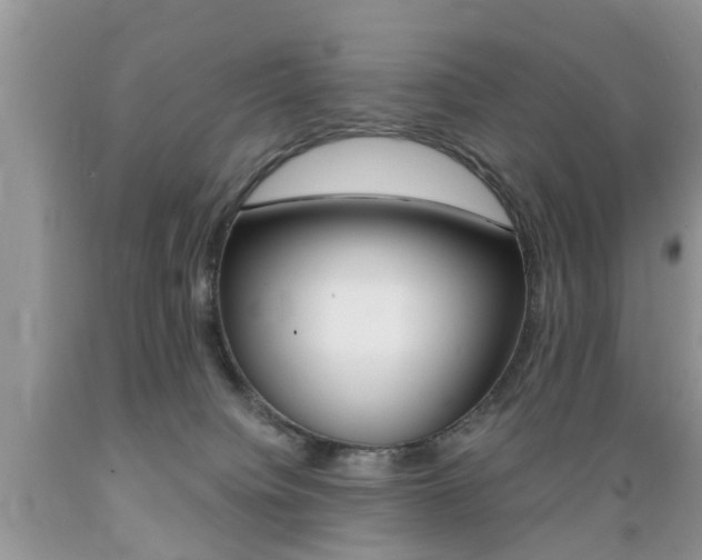 X0000089660084200706210740