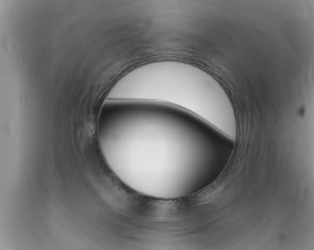 X0000089660085200706210740