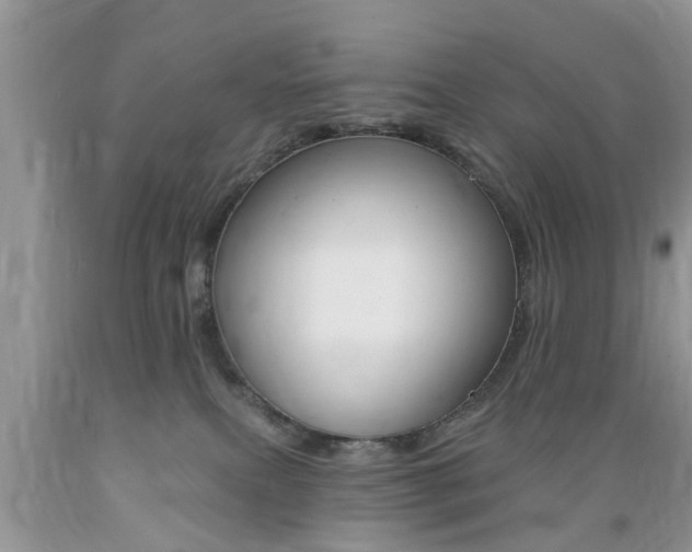 X0000089660087200706210740