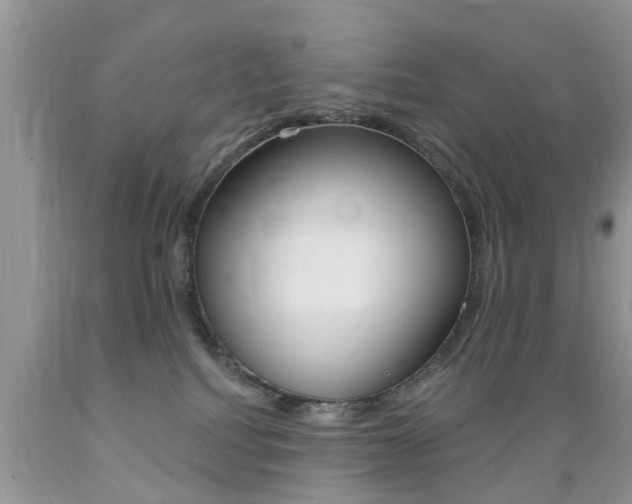 X0000089660088200706210740