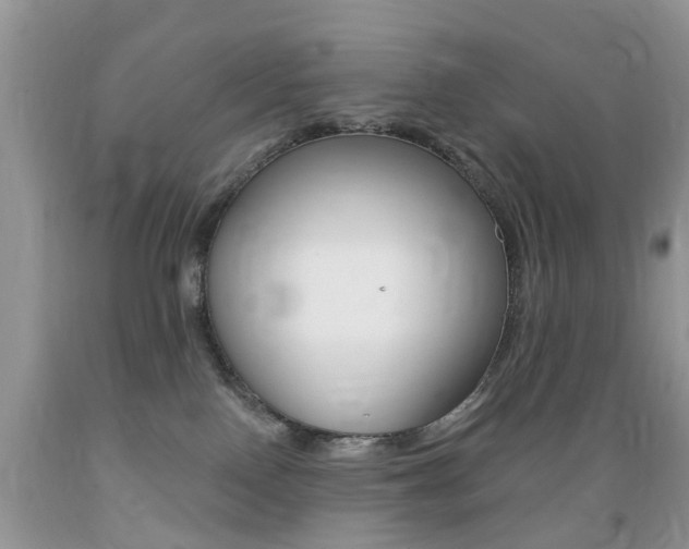 X0000089660090200706210740