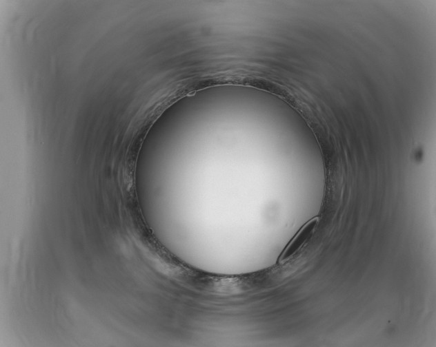 X0000089660091200706210740