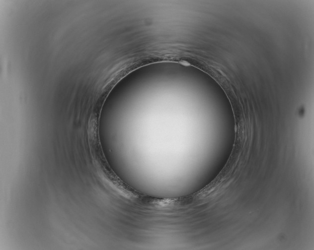 X0000089660092200706210740