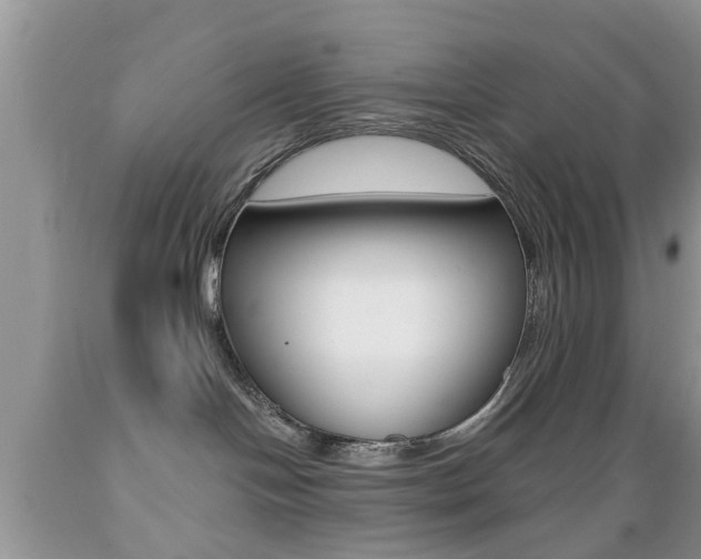 X0000089660094200706210740