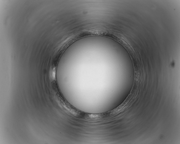 X0000089660095200706210740