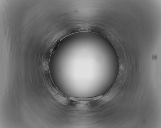 X0000089660096200706210740