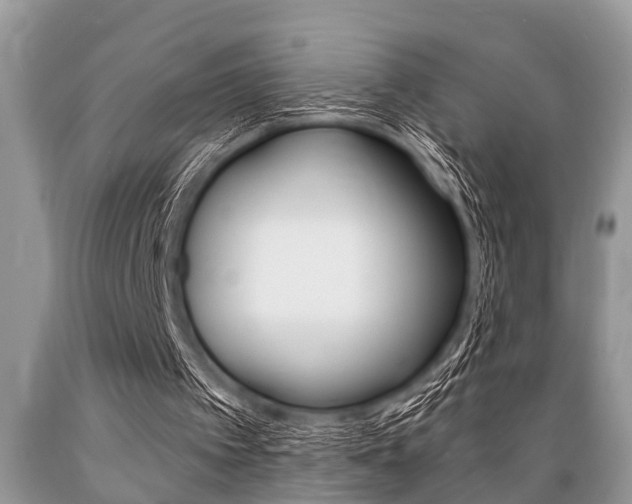 X0000089660097200706210739